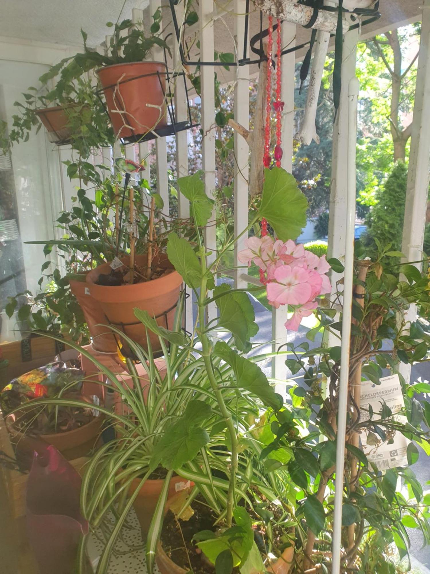 Libros Y Plantas A 5 Minutos Del Centro En Bus Apartment มาดริด ภายนอก รูปภาพ
